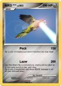 BIRD ***