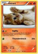 rinizard