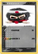 REX