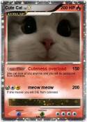 Cute Cat