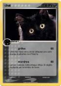 chat