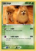 cute dogs