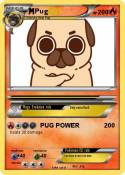 Pug