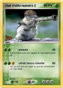 chat d'elite