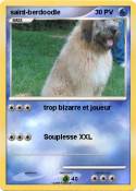 saint-berdoodle