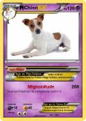 Chien