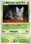 Mimi chaton niv
