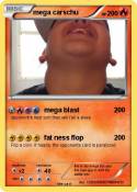 mega carschu