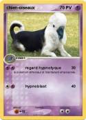 chien-oiseaux
