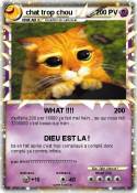 chat trop chou