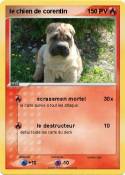 le chien de