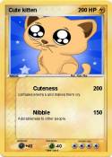 Cute kitten