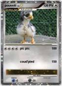 poussiti