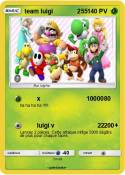 team luigi 255