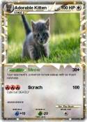 Adorable Kitten