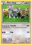 Kitten Gang