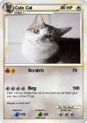 Cute Cat