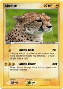 Cheetah