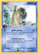 tigers 