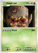 Flower owl