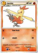 torchic
