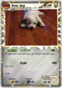 floor dog