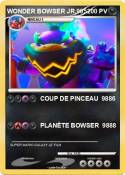 WONDER BOWSER