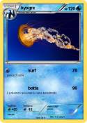 kyogre