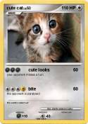 cute cat