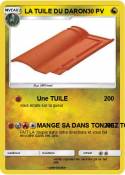 LA TUILE DU DAR