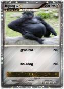 bigdog