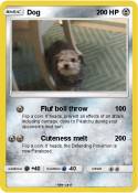 Dog