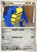 A Turtle