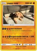 puppy Joep 1