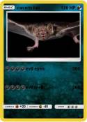 cavern bat