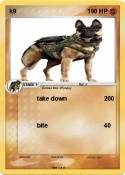 k9