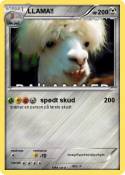 LLAMA!!