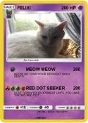 FELIX!