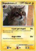 Dogealicious