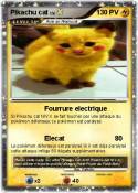 Pikachu cat