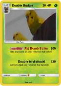 Double Budgie