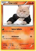Chat riche