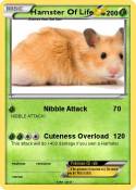 Hamster Of Life