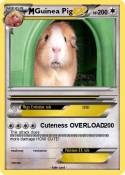 Guinea Pig