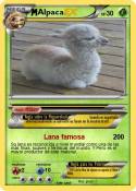 Alpaca