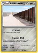 TRUMP'S WALL