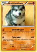 Storm the Husky