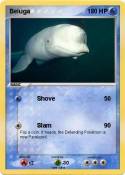 Beluga