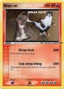 Ninja cat