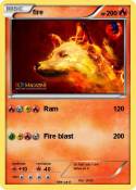 fire